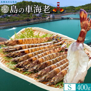 ̎ԊCVmVѐn܂ Ԃъ 400gmS 19-20n炿 V ԃGr hg F{Y N}Gr   xH ԂԁmΕ NX}Xv[g ӂ