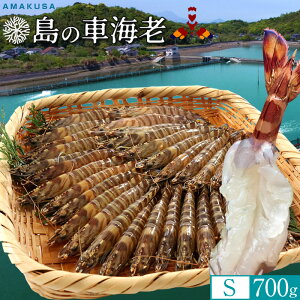 ̎ԊCVmVѐn܂ Ԃъ 700gmS 32-35n炿 V ԃGr hg F{Y N}Gr   xH ԂԁmΕ NX}Xv[g ӂ