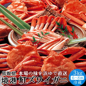  ` gYCKj p3kgm6-8tnV ① l ł `h xjYCKj {C 挧Y Yn ʔ ߁mΕ NX}Xv[g ӂ邳ƃMtgn