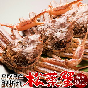 tKj 󂠂mBn800g×3mɋ2025n܂  tI V܂΂ 挧Y uh}coKj {CYCKjmΕ NX}Xv[g ӂ邳ƃMtgn