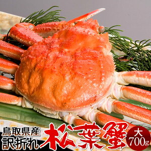 lŏtKj 󂠂mBn700gmɋ2025n܂ {CtI 䥂ŊI V 挧Y uh}coKj {CYCKjmΕ NX}Xv[g ӂ邳ƃMtgn