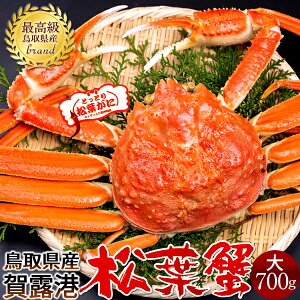 lŏtKjmn700g ^Otmɋ2025n{CtI 䥂ŊI V 挧Y uh}coKj {CYCKjmΕ NX}Xv[g ӂ邳ƃMtgn