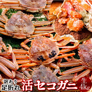 ZRKj 󂠂mBn4kg(24-32) qmɋ2025n܂ ZCRKj I 挧Y eI X I ZCRI  ZɁmΕ NX}Xv[g ӂ邳