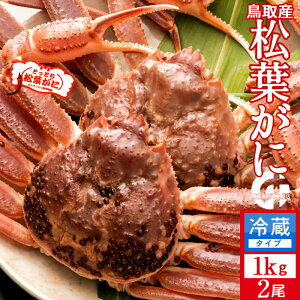 �����t�K�j�m����n1kg×2�� �^�O�t���m���ɋ�����2025�n�������t�I �V�� ���܂΂��� ���挧�Y �u�����h�}�c�o�K�j ���{�C�Y���C�K�j�m���Ε� �N���X�}�X�v���[���g �ӂ邳�ƃM�t�g�n