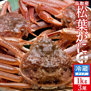 �����t�K�j�m����n1kg×3�� �^�O�t���m���ɋ�����2025�n�������t�I �V�� ���܂΂��� ���挧�Y �u�����h�}�c�o�K�j ���{�C�Y���C�K�j�m���Ε� �N���X�}�X�v���[���g �ӂ邳�ƃM�t�g�n