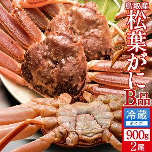 tKj 󂠂mBn900g×2mɋ2025n܂  tI V܂΂ 挧Y uh}coKj {CYCKjmΕ NX}Xv[g ӂ邳ƃMtgn