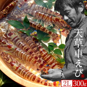 ԊCVmVсn܂ y2LzԂ 300gm9-11n炿 V ̎ԊCV Y ێR hg F{Y N}Gr   Hו xH Ԃ 