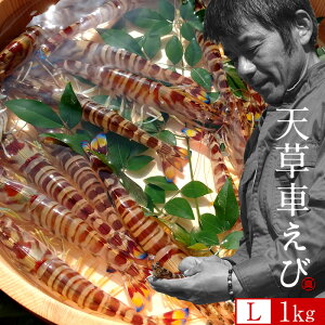 ԊCVmVсn܂ ԃGryLz1kgm36-39n炿 V ̎ԊCV Y ێR hg F{Y N}Gr   Hו xH Ԃ  