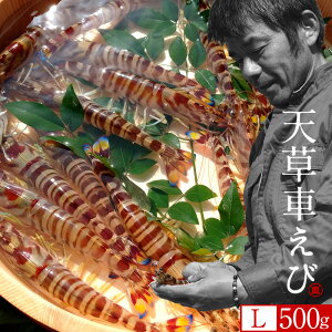 ԊCVmVсn܂ ԃGryLz500gm18-20n炿 V ̎ԊCV Y ێR hg F{Y N}Gr   Hו xH Ԃ  