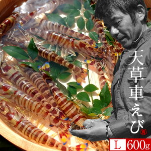 ԊCVmVсn܂ ԃGryLz600gm21-24n炿 V ̎ԊCV Y ێR hg F{Y N}Gr   Hו xH Ԃ  