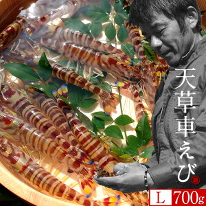 ԊCVmVсn܂ ԃGryLz700gm25-29n炿 V ̎ԊCV Y ێR hg F{Y N}Gr   Hו xH Ԃ  