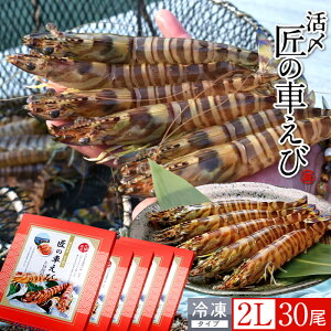 ԊCV V ⓀmVсnY  2L 30m6250g×5PnԃGr hg Ă tC F{ {B N}Gr 炿 ̎Ԃ  Yn { Hו Ă Vs Y Yn