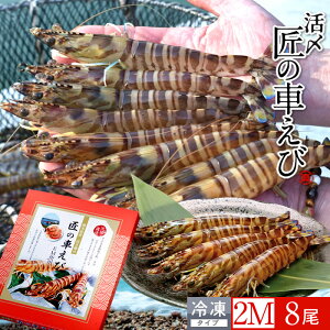 ԊCV V ⓀmVсnY 2Mm8250g×1PnԃGr hg Ă tC F{ {B N}Gr 炿 ̎Ԃ  Yn { Hו Ă Vs Y Yn 