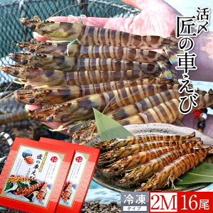 ԊCV V ⓀmVсnY 2M 16m8250g×2PnԃGr hg Ă tC F{ {B N}Gr 炿 ̎Ԃ  Yn { Hו Ă Vs Y Yn 