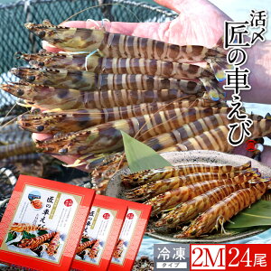 ԊCV V ⓀmVсnY 2M 24m8250g×3PnԃGr hg Ă tC F{ {B N}Gr 炿 ̎Ԃ  Yn { Hו Ă Vs Y Yn 