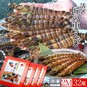 ԊCV V ⓀmVсnY 2M 32m8250g×4PnԃGr hg Ă tC F{ {B N}Gr 炿 ̎Ԃ  Yn { Hו Ă Vs Y Yn 