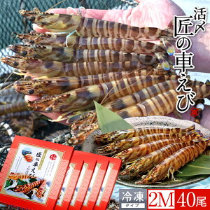 ԊCV V ⓀmVсnY 2M 40m8250g×5PnԃGr hg Ă tC F{ {B N}Gr 炿 ̎Ԃ  Yn { Hו Ă Vs Y Yn 