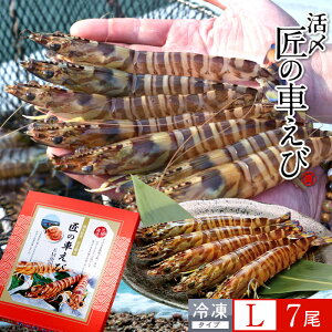 ԊCV V ⓀmVсnY Lm7250g×1PnԃGr hg Ă tC F{ {B N}Gr 炿 ̎Ԃ  Yn { Hו Ă Vs Y Yn 