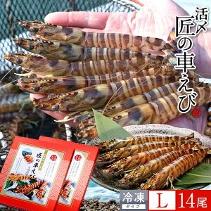 ԊCV V ⓀmVсnY L 14m7250g×2PnԃGr hg Ă tC F{ {B N}Gr 炿 ̎Ԃ  Yn { Hו Ă Vs Y Yn 