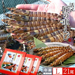 ԊCV V ⓀmVсnY L 21m7250g×3PnԃGr hg Ă tC F{ {B N}Gr 炿 ̎Ԃ  Yn { Hו Ă Vs Y Yn 