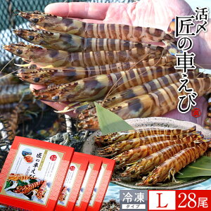 ԊCV V ⓀmVсnY L 28m7250g×4PnԃGr hg Ă tC F{ {B N}Gr 炿 ̎Ԃ  Yn { Hו Ă Vs Y Yn 