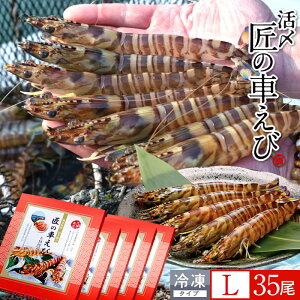 ԊCV V ⓀmVсnY L 35m7250g×5PnԃGr hg Ă tC F{ {B N}Gr 炿 ̎Ԃ  Yn { Hו Ă Vs Y Yn 