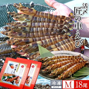 ԊCV V ⓀmVсnY M 18m9250g×2PnԃGr hg Ă tC F{ {B N}Gr 炿 ̎Ԃ  Yn { Hו Ă Vs Y Yn 