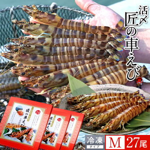 ԊCV V ⓀmVсnY M 27m9250g×3PnԃGr hg Ă tC F{ {B N}Gr 炿 ̎Ԃ  Yn { Hו Ă Vs Y Yn 