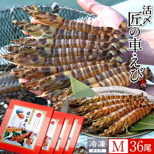 ԊCV V ⓀmVсnY M 36m9250g×4PnԃGr hg Ă tC F{ {B N}Gr 炿 ̎Ԃ  Yn { Hו Ă Vs Y Yn 