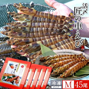 ԊCV V ⓀmVсnY M 45m9250g×5PnԃGr hg Ă tC F{ {B N}Gr 炿 ̎Ԃ  Yn { Hו Ă Vs Y Yn 