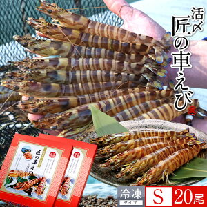 ԊCV V ⓀmVсnY S 20m10250g×2PnԃGr hg Ă tC F{ {B N}Gr 炿 ̎Ԃ  Yn { Hו Ă Vs Y Yn 