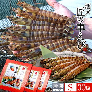 ԊCV V ⓀmVсnY S 30m10250g×3PnԃGr hg Ă tC F{ {B N}Gr 炿 ̎Ԃ  Yn { Hו Ă Vs Y Yn 