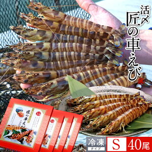 ԊCV V ⓀmVсnY S 40m10250g×4PnԃGr hg Ă tC F{ {B N}Gr 炿 ̎Ԃ  Yn { Hו Ă Vs Y Yn 