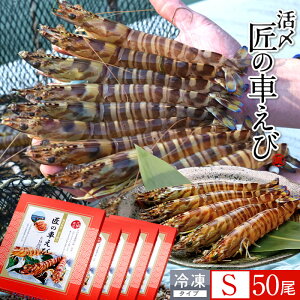 ԊCV V ⓀmVсnY S 50m10250g×5PnԃGr hg Ă tC F{ {B N}Gr 炿 ̎Ԃ  Yn { Hו Ă Vs Y Yn 