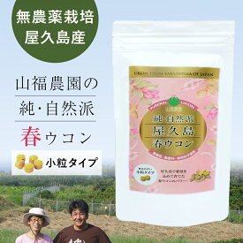 屋久島 春ウコン 600粒(2ヶ月分) 無着色 無香料 無農薬 無添加 保存料不使用 無化学肥料 ウコン サプリ 小粒 サプリメント うこん 山福農園 飲みやすい 粒 turmeric 国産 鹿児島