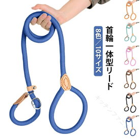 犬 用 リード ハーネス 一体型 首輪 ナイロン ロープ 丸ひも 長い ひも 紐 小型犬 中型犬 大型犬 丈夫 抜けない 柔らかい 簡単装着 調整可能 おしゃれ かわいい トレーニング 散歩 介護 ペッ