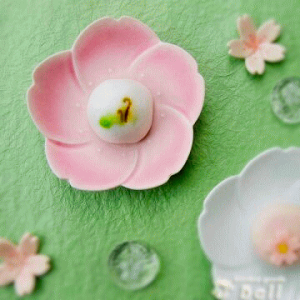 F  M  v[g  P[LM  fU[gv[g XM g[ aH M  M Z ƖpH