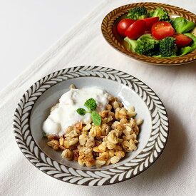 お皿 ブロウ15cmフルーツ皿 食器 おしゃれ デザートボウル フルーツボウル シリアルボウル おつまみ鉢 おうちカフェ 日本製 美濃焼