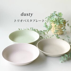 HZbg pX^v[g 22cm _XeB dusty pX^M ϔ Mtg  킢 Z k { ybsOΏۏiz
