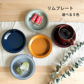 小皿 リムプレート ソーサー 15.5cm プレート 日本製 取り皿 フルーツ皿 ケーキ皿 カフェ風 おしゃれ カフェ食器 日本製 美濃焼