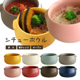 スープボウル 直火専用 耳付き 耐熱 シチューボウル 12.5cm 満水 460ml ポットパイ器 耐熱食器/チーズフォンデュ 鍋/カフェ食器 ポットパイ 器