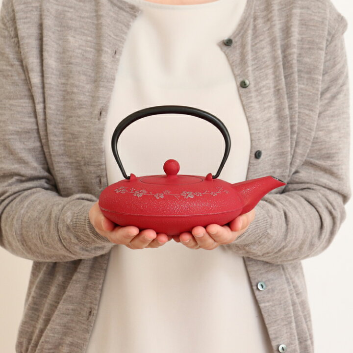 1年保証付き 急須 ティーポット 南部鉄器 0 6l 日本製 鉄急須 プレゼント 茶こし付き 岩鋳 内部ホーロー加工 新茶に 母の日 カラーポット ギフト 銀 グレープ 割れない かわいい おしゃれ らいす