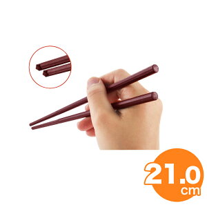 GM-4002 SPS10�p����˔� 21cm ��