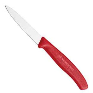 yGg[ōő100|CgobNz rNgmbNX 6.7601E p[OiCt bh VICTORINOX iCt