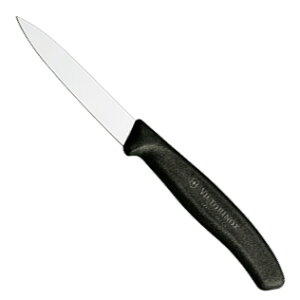 ySi|Cg3{I10/17 9:59܂Łz rNgmbNX 6.7603E p[OiCt ubN VICTORINOX iCt