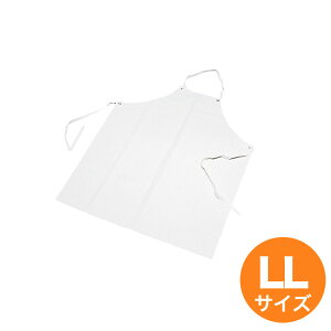 �y2���Ԍ���|�C���g10�{�I6/4 20���`�z�S�������t�G�v���� �� LL