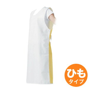 yubNtCf[ʃN[|ΏہzZVAGv チbV E1100-3H CG[ Ђ