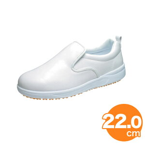 ATqRbN 101 iϖj  22cm RbNV[Y ~[pV[Y