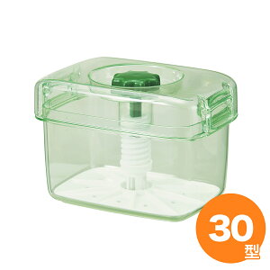 g{ Ȃ̊ sNK30^ S O[