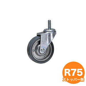 PƃLX^[ R75 Xgbp[Ȃ bNpLX^[